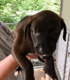 Remi