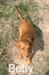 Betty