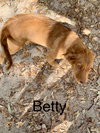 Betty