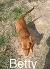 Betty