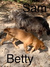 Betty