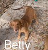 Betty