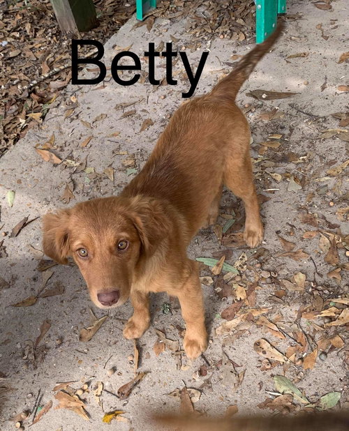 Betty