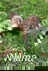 Wilma
