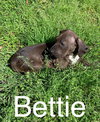 Bettie