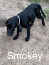 Smokey