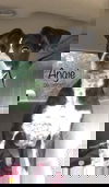 Angie