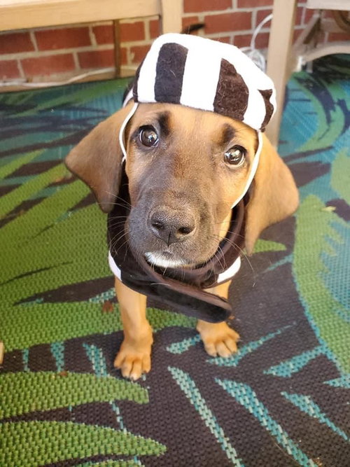 Buster