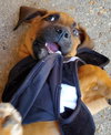 Buster
