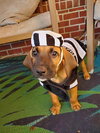 Buster