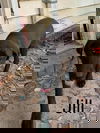 Jill
