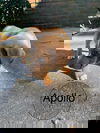 Apollo