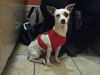 Zadie
