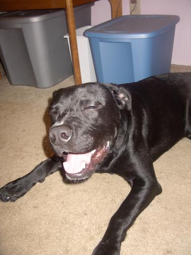 Max