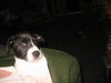 Timmy