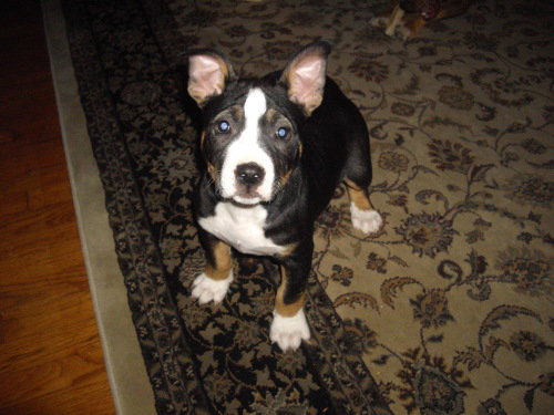 Benny