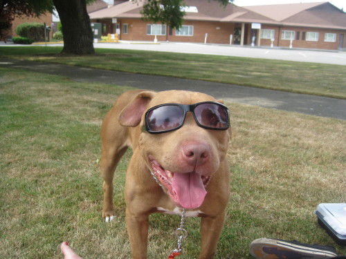 Leroy