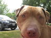 Leroy
