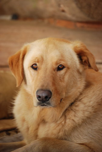 Ben