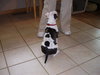 Cooper