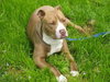 Buster