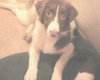 Skye