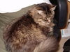 Etta