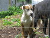 Lucy
