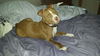 Thurston