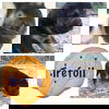 Trefoil