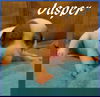 Jasper