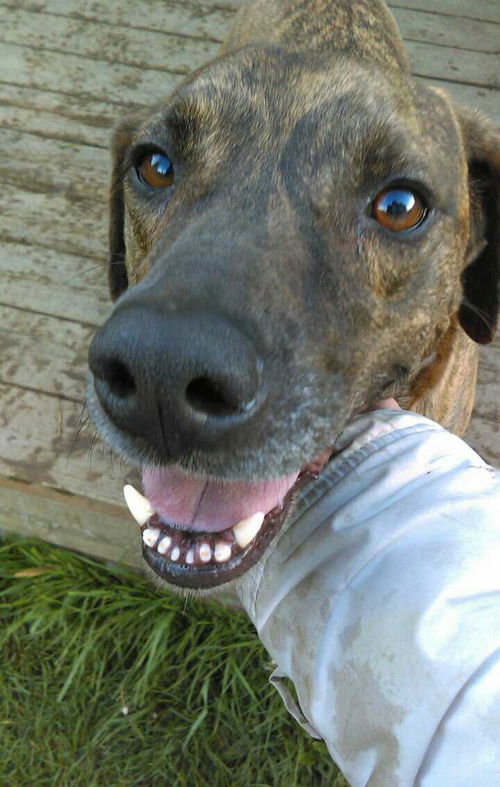 Duke