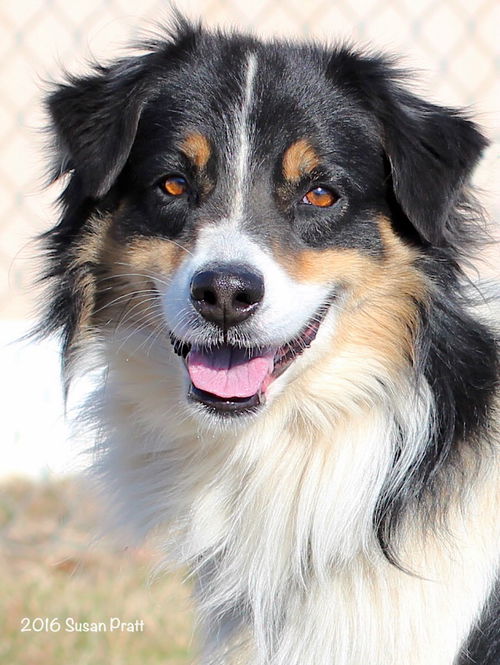 Benson