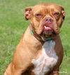 Roxy