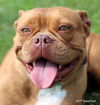 Roxy