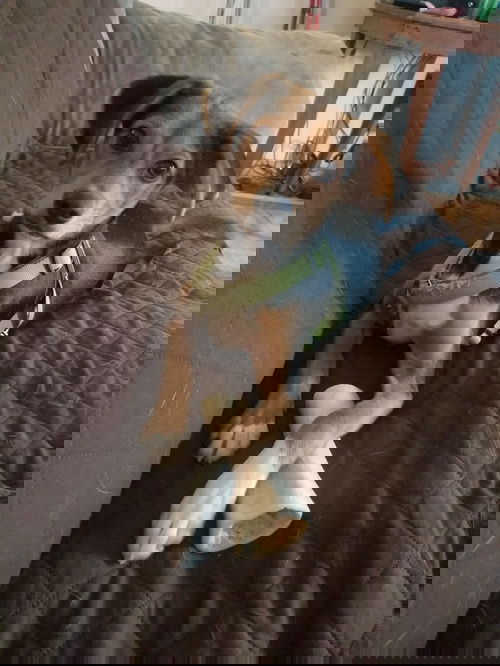 Max