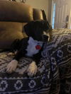 Spencer