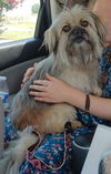 Margie