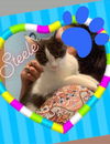Steele