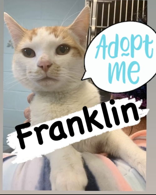 Franklin