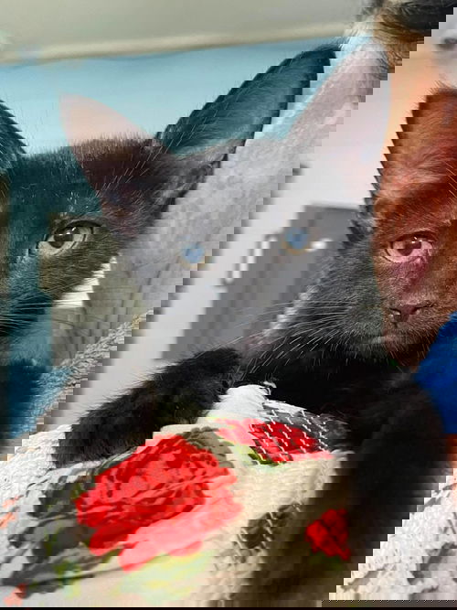 Squiggy