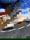 Boomerang