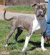 Duke