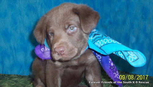 Tucker