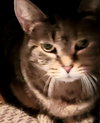 Lydia - Photo 2