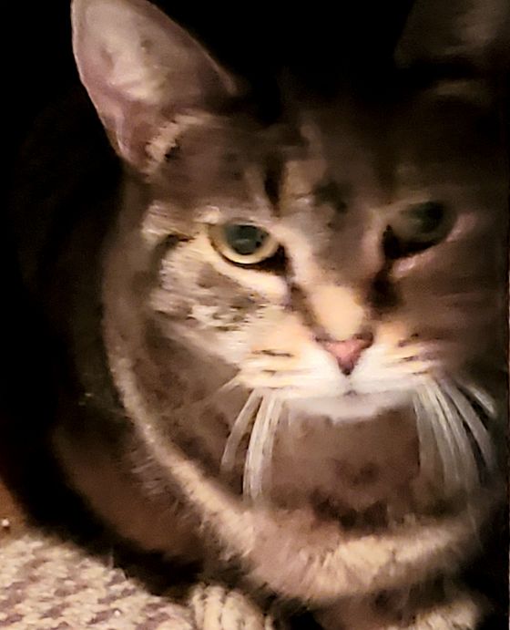 Lydia