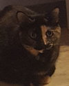 Delilah Bard - Photo 3