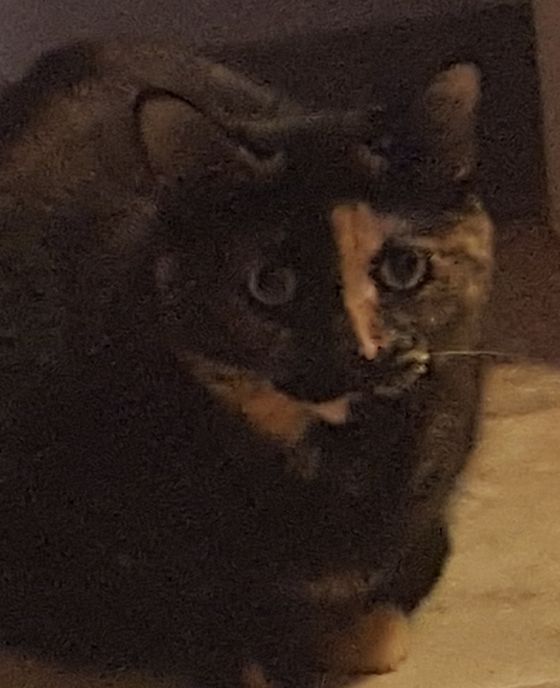 Delilah Bard