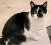 Elizabeth her Majesty - Photo 2
