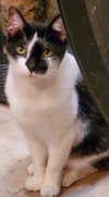 Elizabeth her Majesty - Photo 3